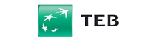 Teb